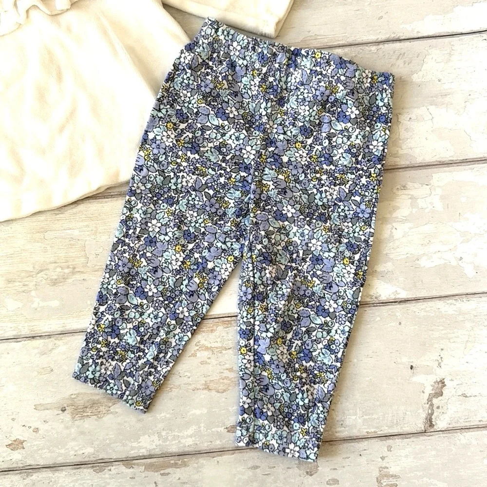 Carters 9m Baby Girl Outfit Fleece Peplum Sweater Top Blue Floral Pants